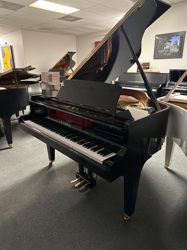 Additional image for Kawai GL20